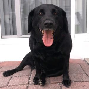 Meet your Posher, Carlyn